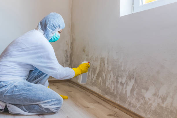 Mold Remediation specialist working in Hampton